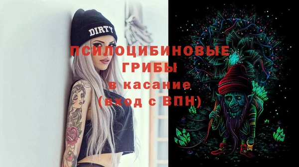 дурь Россошь